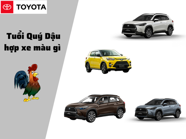 Tuổi Quý Dậu mua xe màu gì hợp?