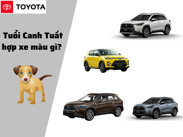 Tuổi Tuất mua xe màu gì