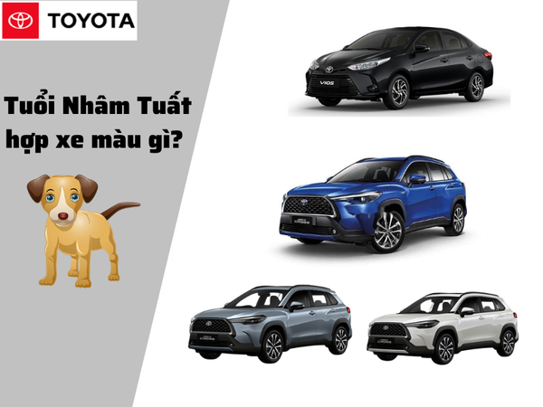 Tuổi Tuất mua xe màu gì
