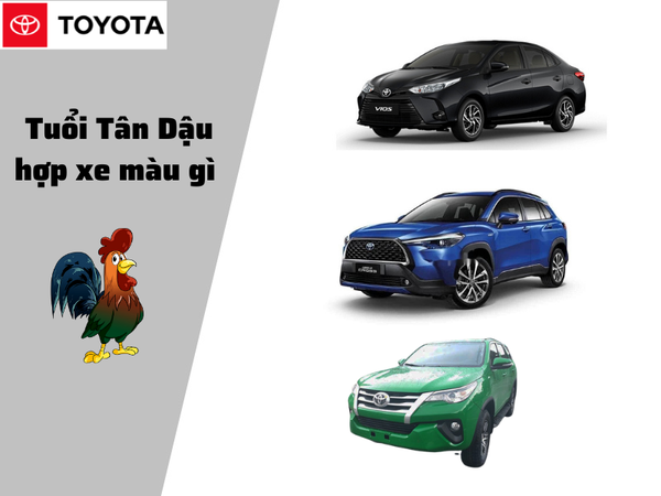 Tuổi Tân Dậu mua xe màu gì hợp mệnh?
