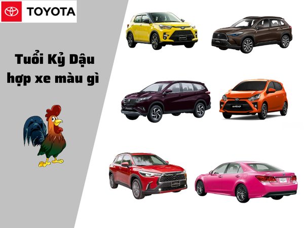 Tuổi Kỷ Dậu mua xe màu gì?