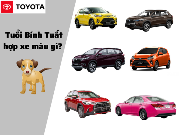 Tuổi Tuất mua xe màu gì