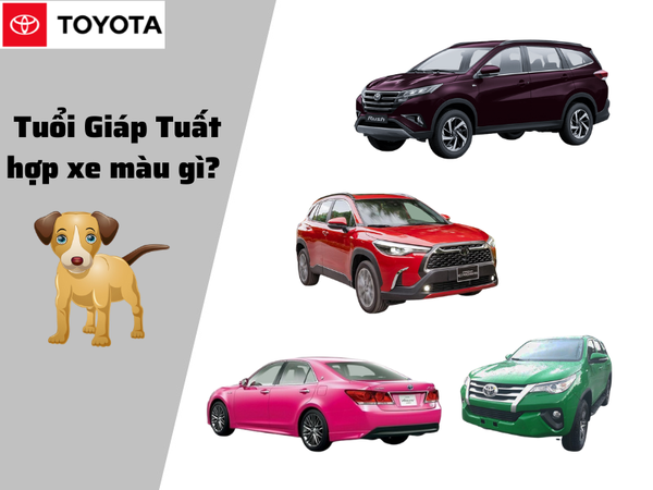 Tuổi Tuất mua xe màu gì