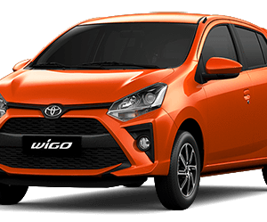 WIGO 4AT
