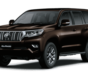 LAND CRUISER PRADO VX