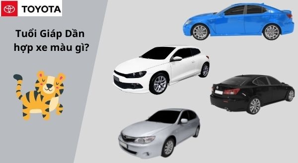 Tuổi giáp dần nam nên mua xe màu gì hợp