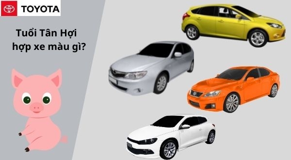 Tuổi tân hợi mua xe màu gì?
