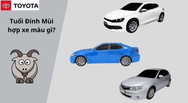 Tuổi mùi hợp màu xe gì? Đinh mùi hợp màu xe gì?