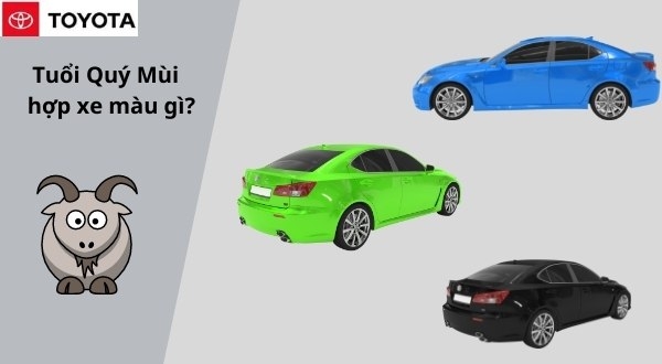 Người tuổi quý mùi mua xe màu gì hợp?