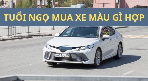 Tuổi ngọ mua xe màu gì thì Sức khỏe Vượng tài lộc tới