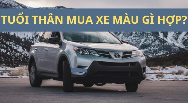 Tuổi Thân mua xe màu gì?