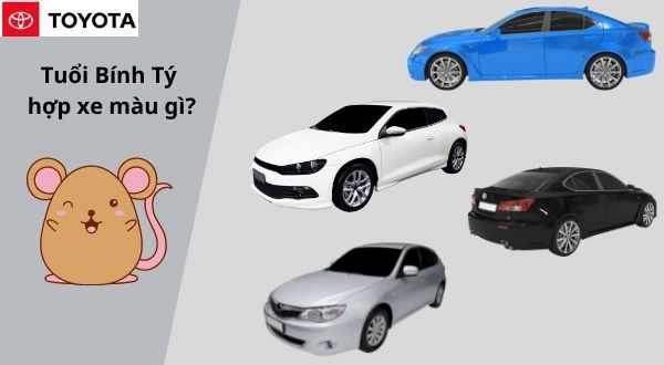 Tuổi bính tý nên mua xe màu gì