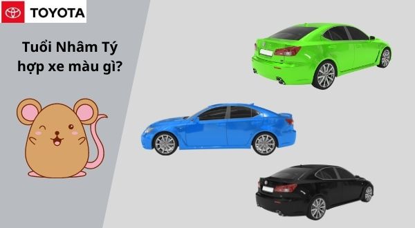 Người tuổi nhâm tý mua xe màu gì hợp?