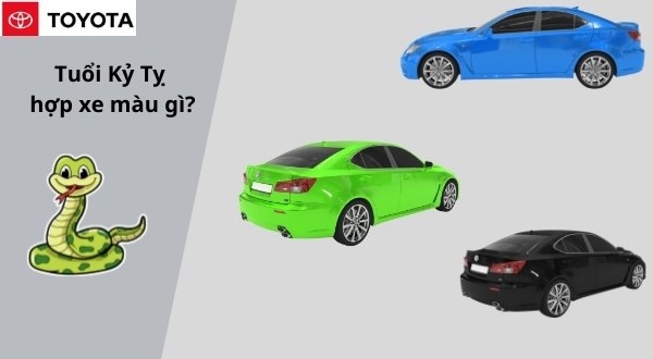 Vậy tuổi Tỵ mua xe màu gì hợp?