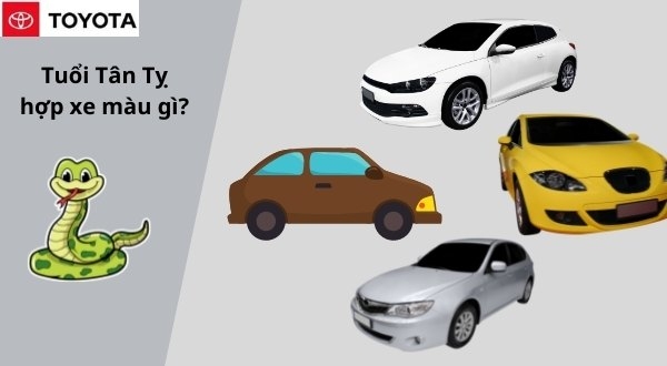 Tuổi Tân Tỵ 2001 mua xe màu gì? Tuổi Tân Tỵ mua xe màu gì?
