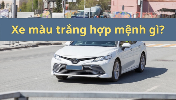 Xe màu trắng hợp mệnh gì? Mẹo chọn mua oto hợp màu trắng