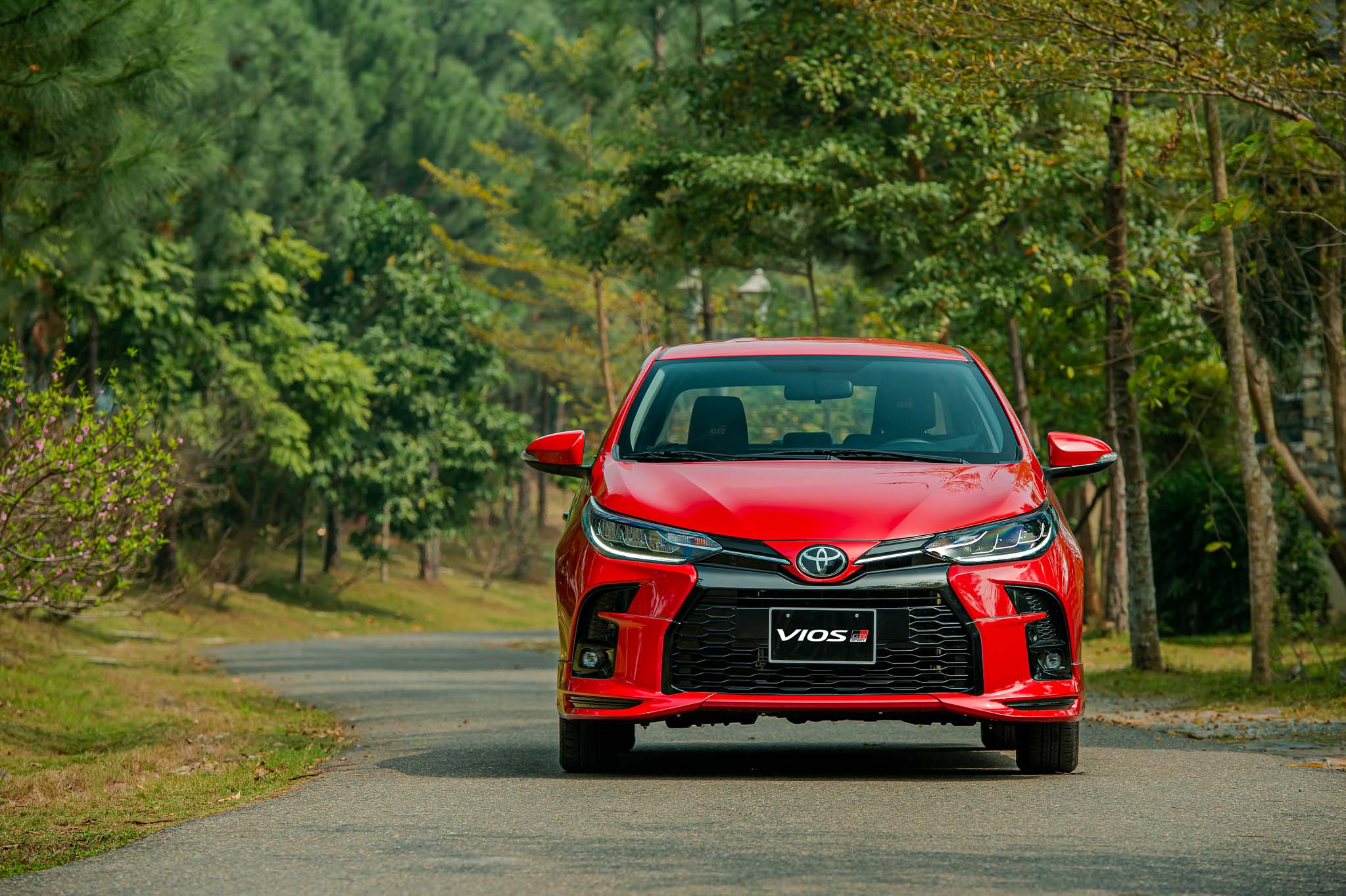 VIOS GR-S