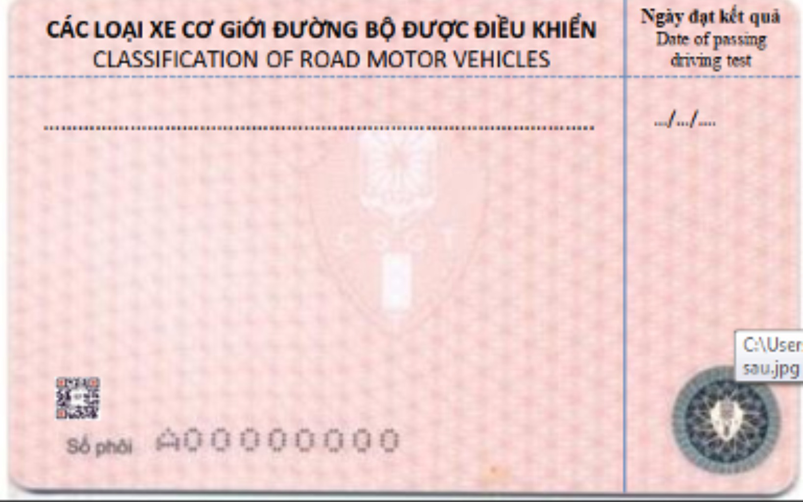 Mặt sau bằng lái xe ô tô hạng B và các hạng khác
