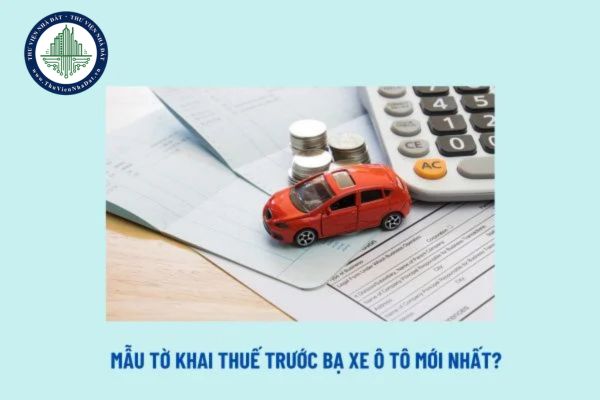 Hình ảnh minh họa cách điền mẫu tờ khai thuế trước bạ xe ô tô