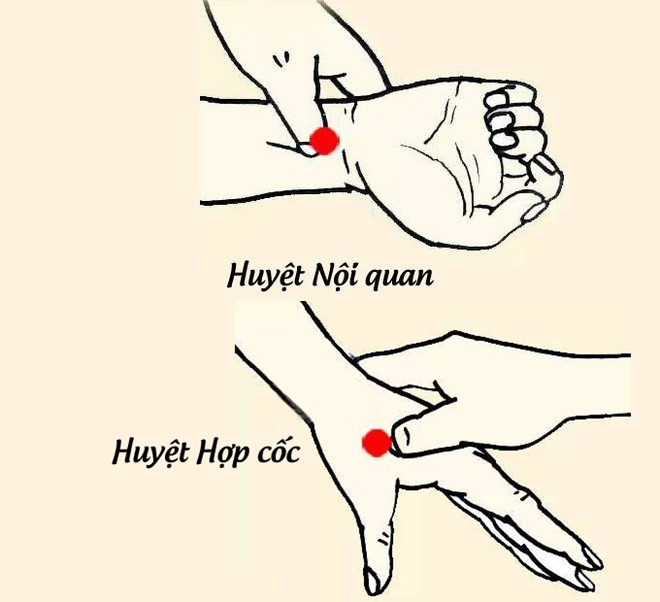 Các huyệt đạo trên tay giúp chống say xe