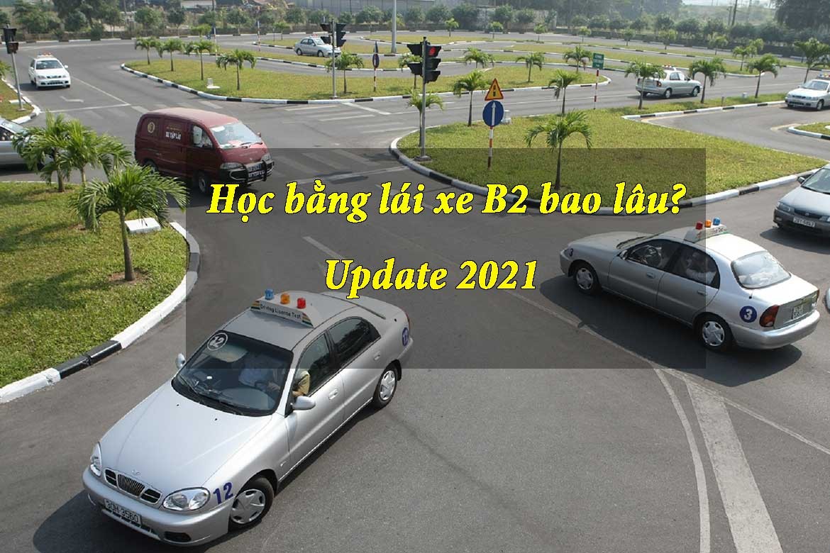Hình ảnh người học đang ôn tập lý thuyết thi bằng lái xe B2