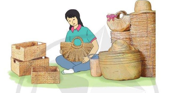 Xe Ô Tô 40 Chỗ Ngồi Phổ Biến Nhất