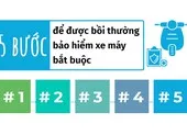Thủ tục bồi thường bảo hiểm cho phương tiện cơ giới