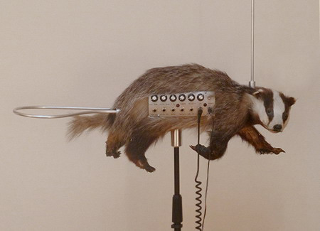 Thiết kế độc đáo của nhạc cụ Badgermin, liên quan đến sự sáng tạo khi tự chế xe năng lượng mặt trời