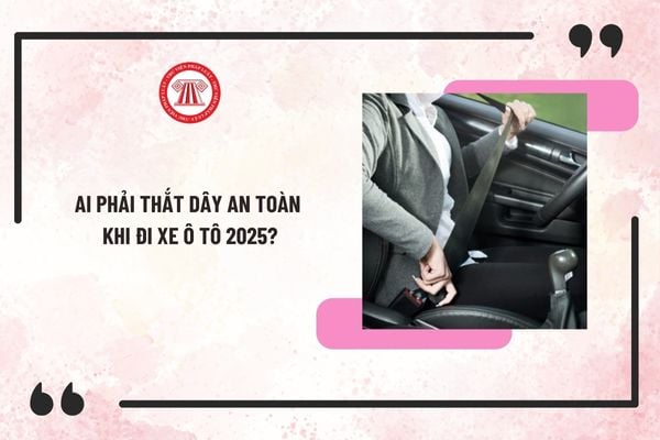 Người lái thắt dây an toàn, đảm bảo an toàn khi đi xe ô tô theo luật