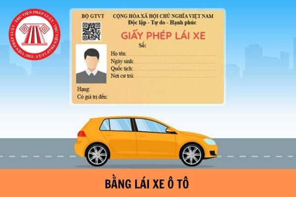 Độ tuổi và hồ sơ để thi bằng lái xe ô tô 4 chỗ tại Việt Nam
