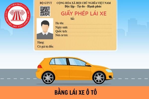 Hình ảnh minh họa các loại giấy phép lái xe ô tô và quy định tuổi
