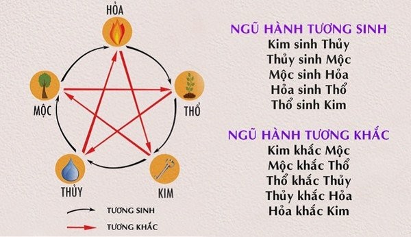 Biểu đồ ngũ hành và các yếu tố cần lưu ý khi xem phong thủy xe ô tô