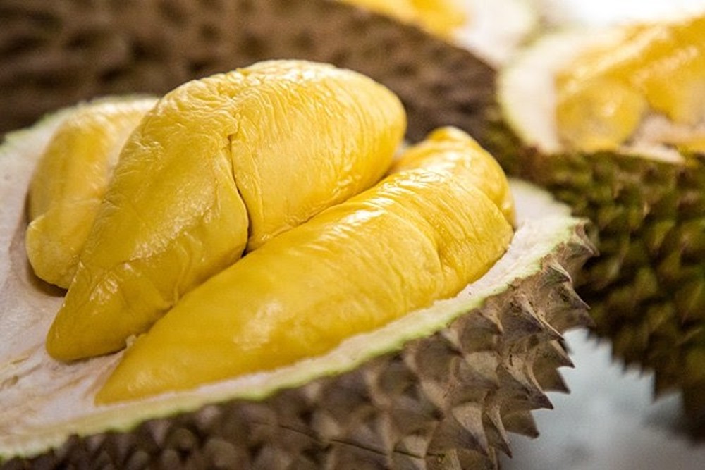 Hình ảnh minh họa việc khử mùi sầu riêng trên xe ô tô để không khí trong lành