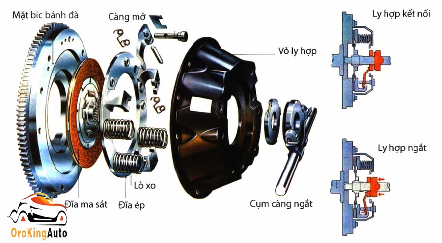 Các bộ phận chính trong cấu tạo bộ ly hợp xe ô tô, bao gồm đĩa ma sát, đĩa ép và vòng bi cắt ly hợp.