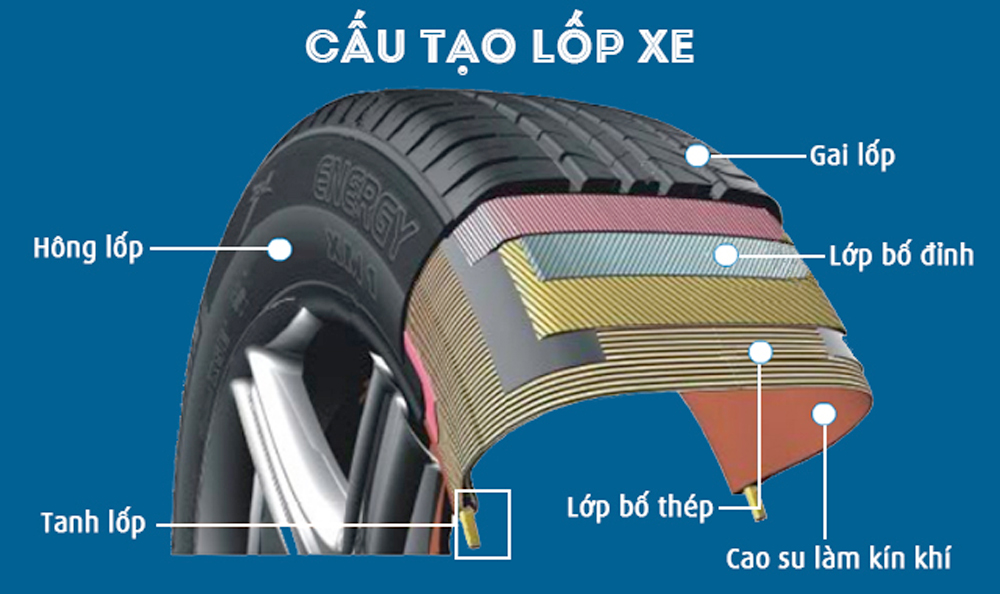 Infographic minh họa các ký hiệu và thông số trên lốp xe ô tô