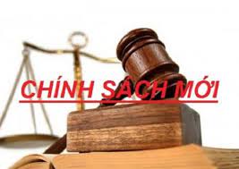 Hình ảnh minh họa quy định mới về bảo hiểm xe ô tô theo Nghị định 67/2023/NĐ-CP