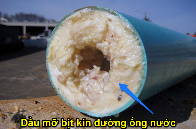 Ảnh ô tô xe máy: Hiểm họa từ dầu mỡ thải