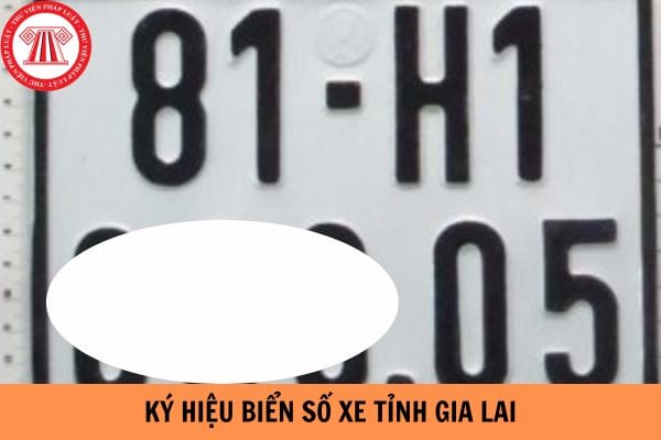 Biển số xe ô tô Gia Lai 81 với cảnh quan đặc trưng