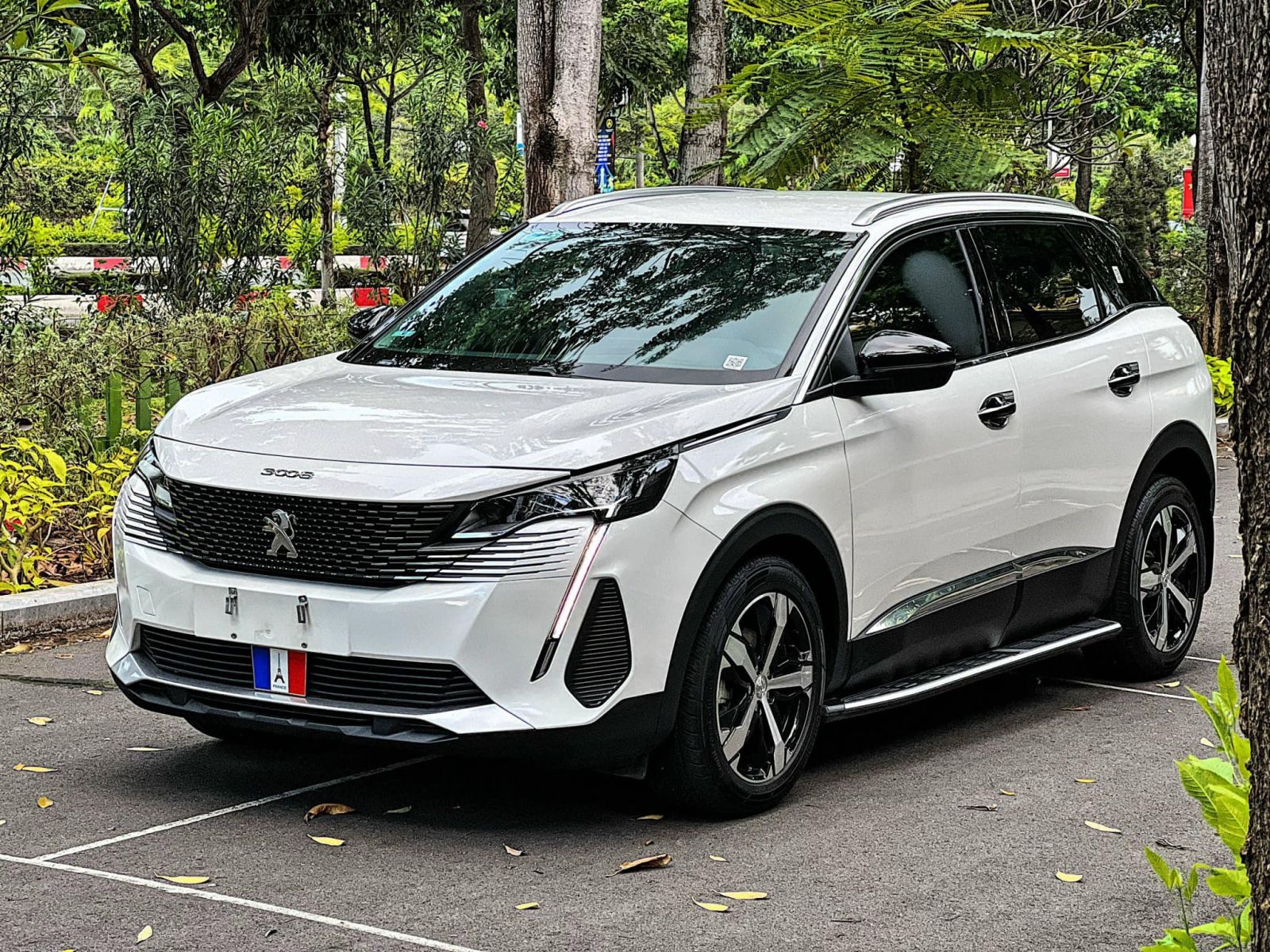 Xe ô tô pháp Peugeot: Vị thế số 1 tại quê nhà
