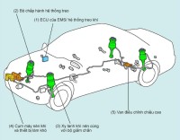 Sơ đồ cấu tạo hệ thống treo khí trên xe ô tô