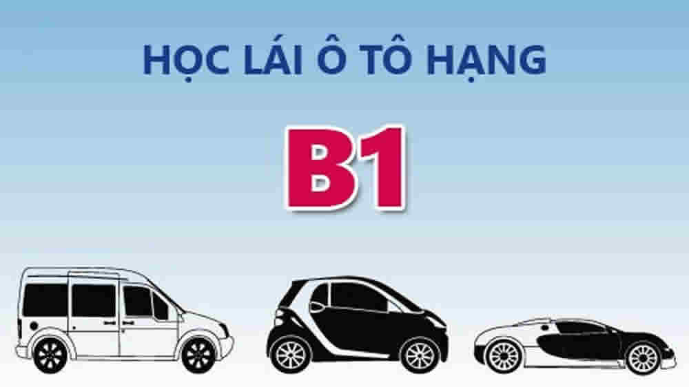 Học lái xe ô tô hạng B1: Tất tần tật cần biết