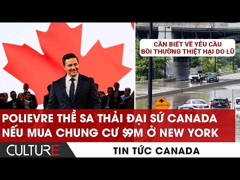 Luật đi xe ô tô: Quy định về bồi thường thiệt hại