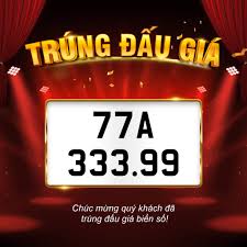 Xe ô tô gắn biển số tại Bình Định