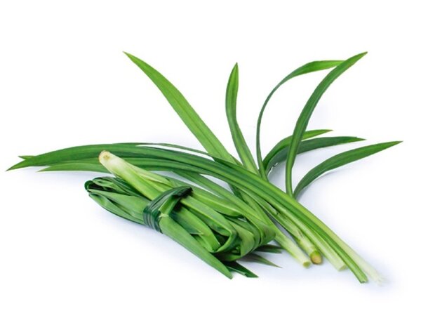 Bó lá dứa tươi đặt trong xe ô tô