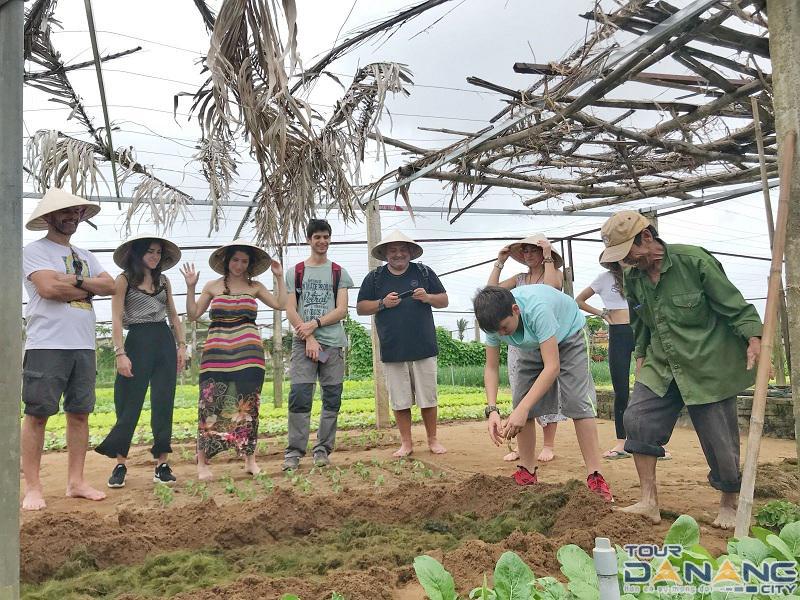 Du khách trải nghiệm tại làng rau Trà Quế gần Hội An