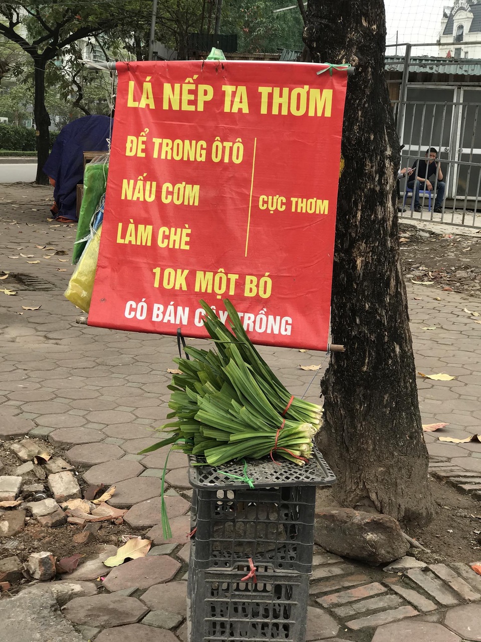Lá thơm xe ô tô được bán trên vỉa hè Hà Nội