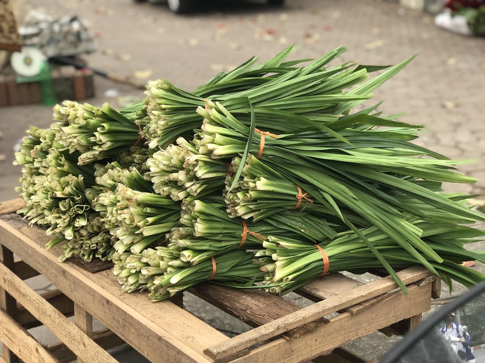 Lá thơm (nếp thơm) màu xanh mướt dùng cho xe ô tô