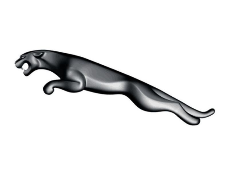 Logo hãng xe Jaguar, biểu tượng linh vật nhảy vọt