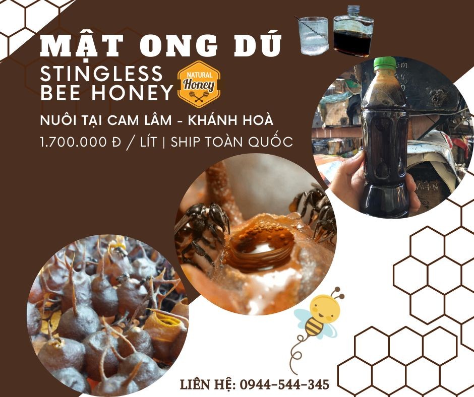 mat-ong-du-khanh-hoa_-chamkhanhhoa.com_