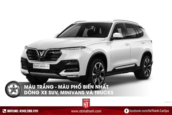 Màu trắng - màu phổ biến nhất dòng xe Suv, Minivan, Truck